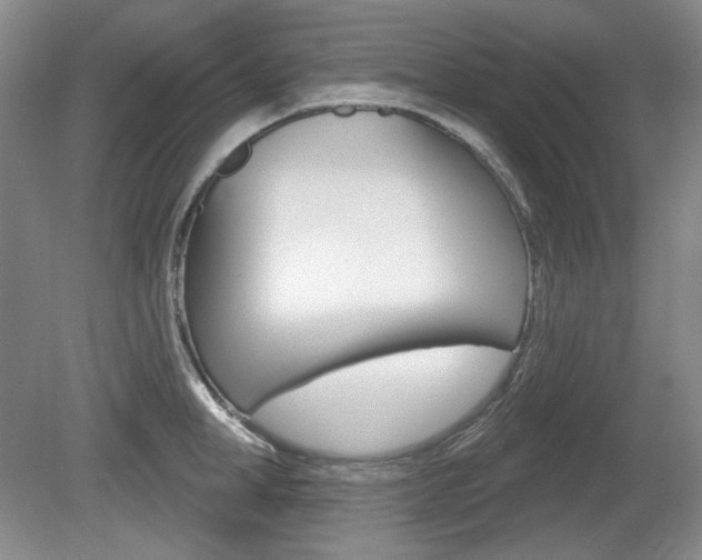 X0000080100998200612080925