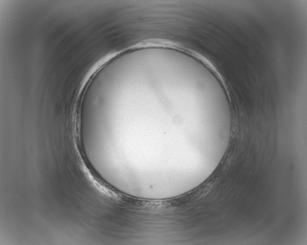 X0000080101003200612080924