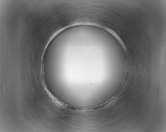 X0000080101004200612080924