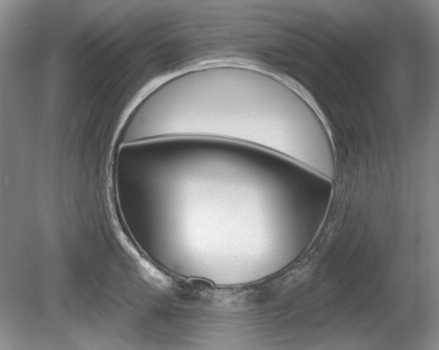 X0000080101005200612080924