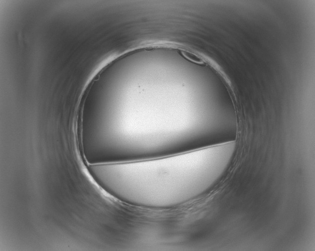 X0000080101007200612080924