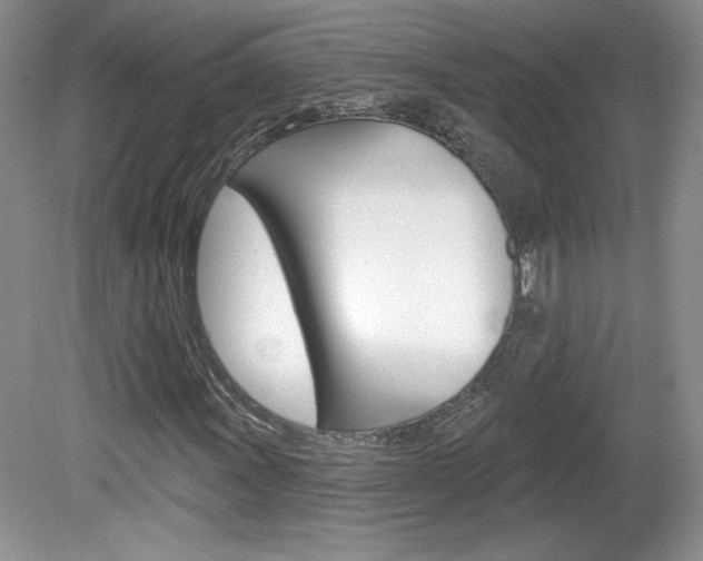 X0000080101011200612080924