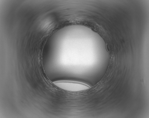 X0000080101012200612080924