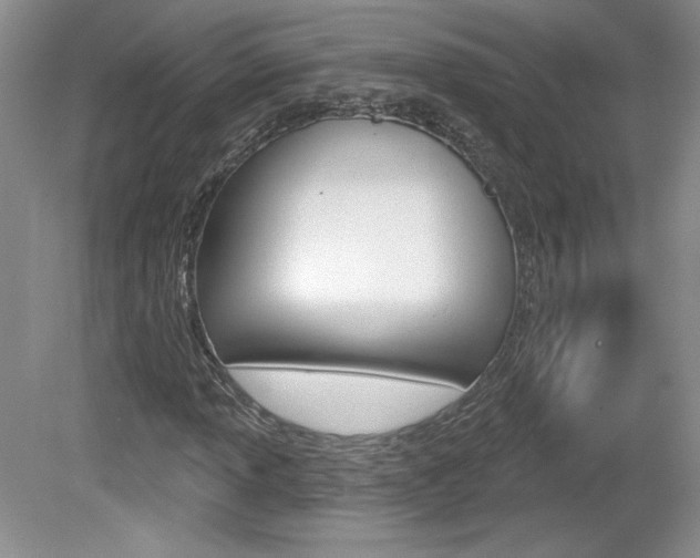 X0000080101013200612080924