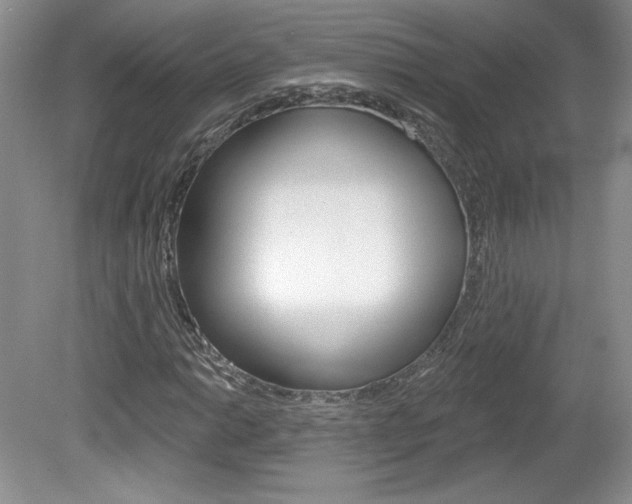 X0000080101014200612080924