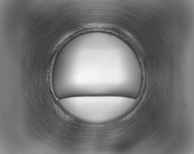 X0000080101017200612080924