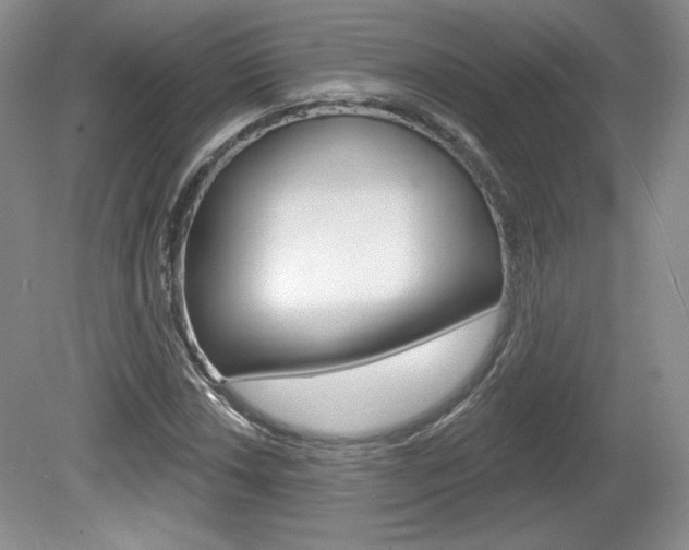 X0000080101018200612080924