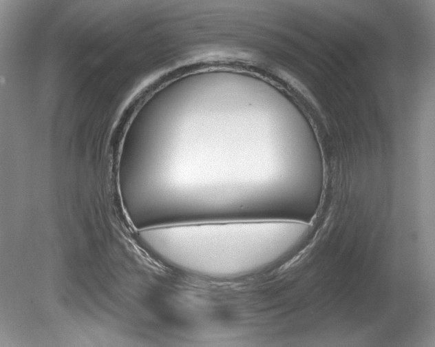 X0000080101021200612080924