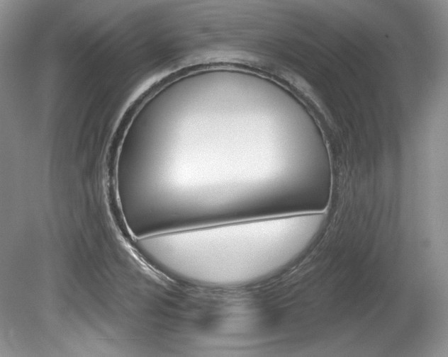 X0000080101024200612080924