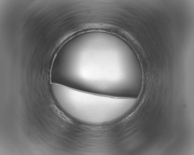 X0000080101025200612080924