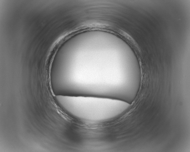 X0000080101027200612080924