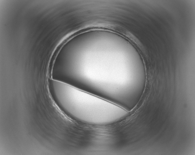 X0000080101028200612080924
