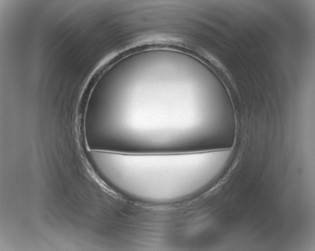 X0000080101029200612080924
