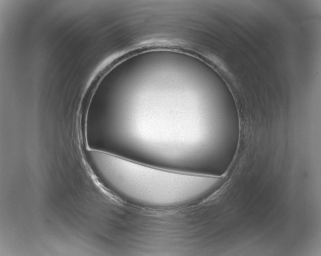 X0000080101030200612080924