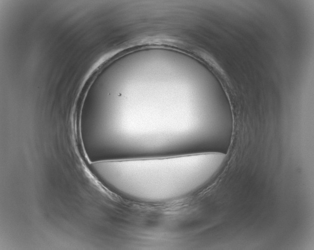X0000080101032200612080924