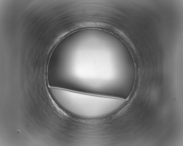 X0000080101033200612080924