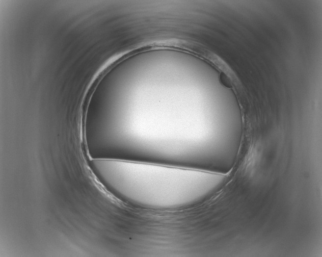 X0000080101036200612080924