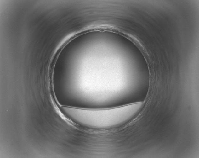 X0000080101038200612080924
