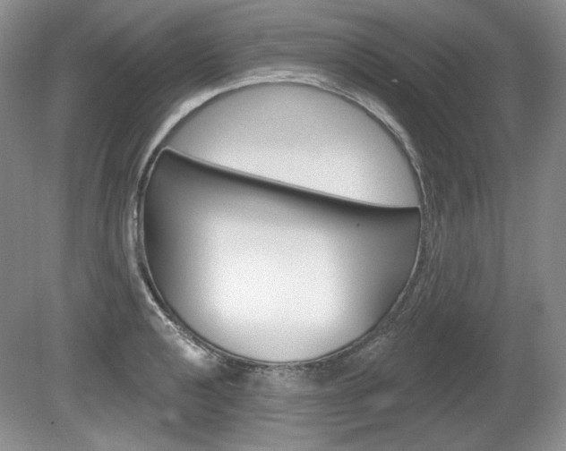 X0000080101040200612080924