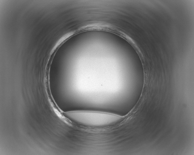 X0000080101042200612080924