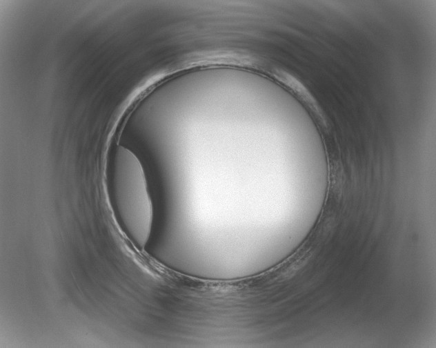 X0000080101043200612080924