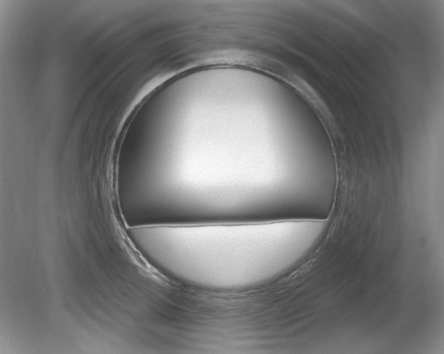 X0000080101044200612080924