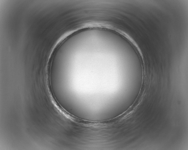 X0000080101045200612080924