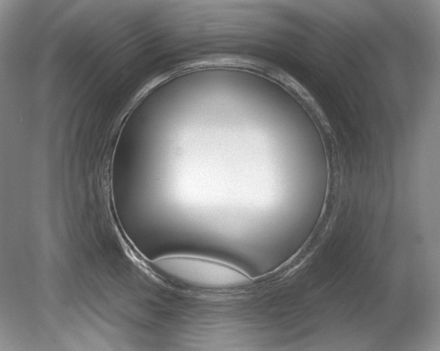 X0000080101049200612080924