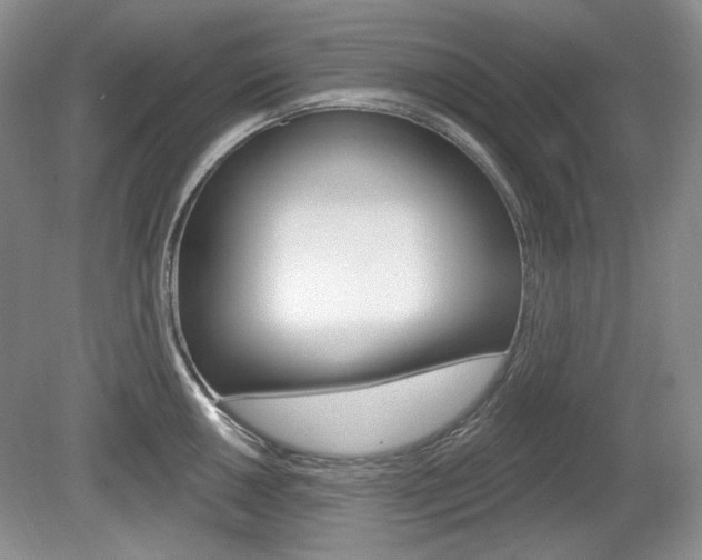X0000080101050200612080924