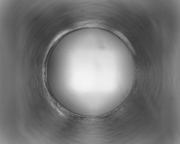 X0000080101051200612080924