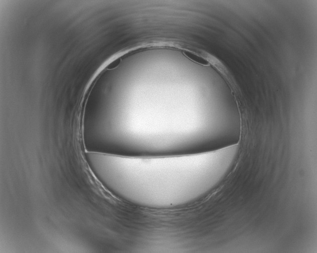 X0000080101052200612080924