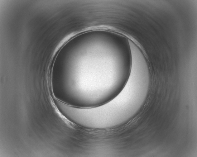 X0000080101054200612080924