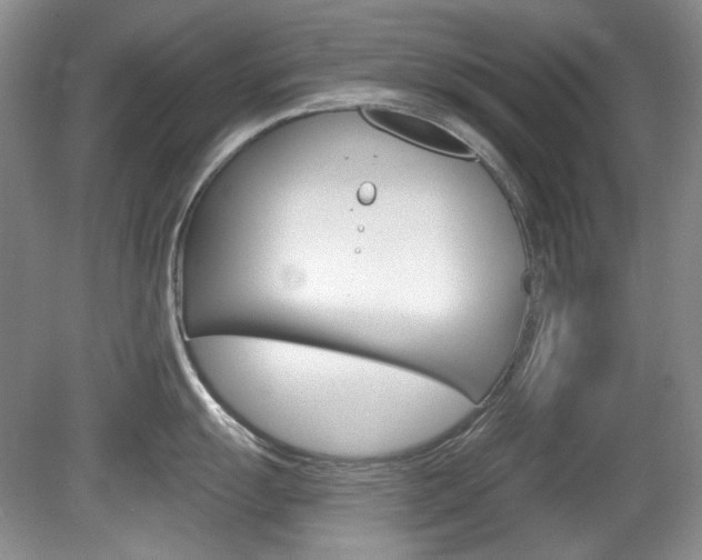 X0000080101055200612080924