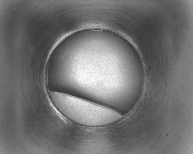 X0000080101056200612080924