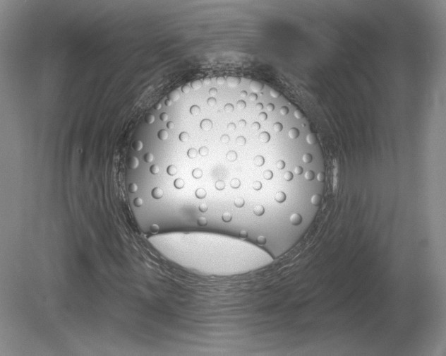 X0000080101059200612080923