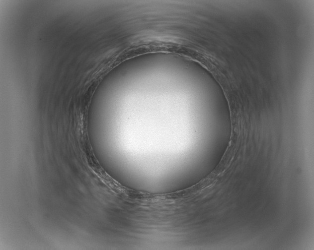 X0000080101061200612080923