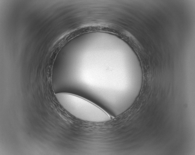 X0000080101064200612080923
