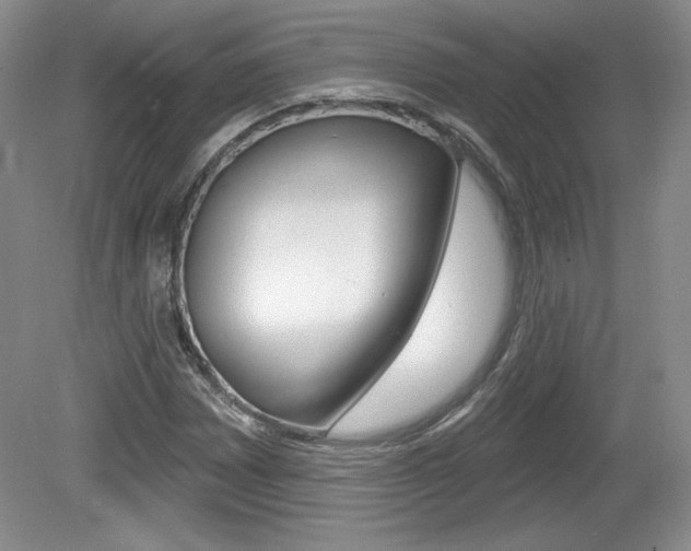 X0000080101065200612080923