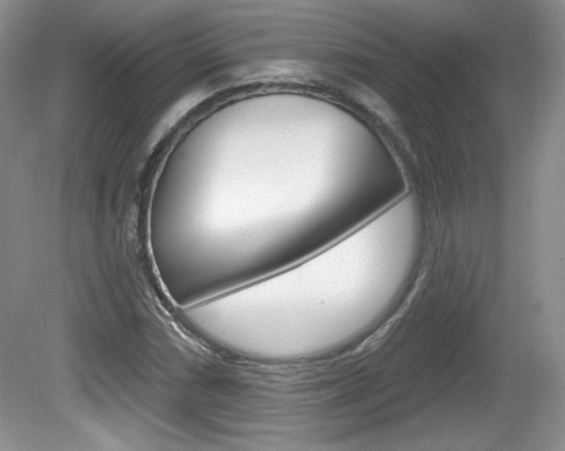 X0000080101066200612080923