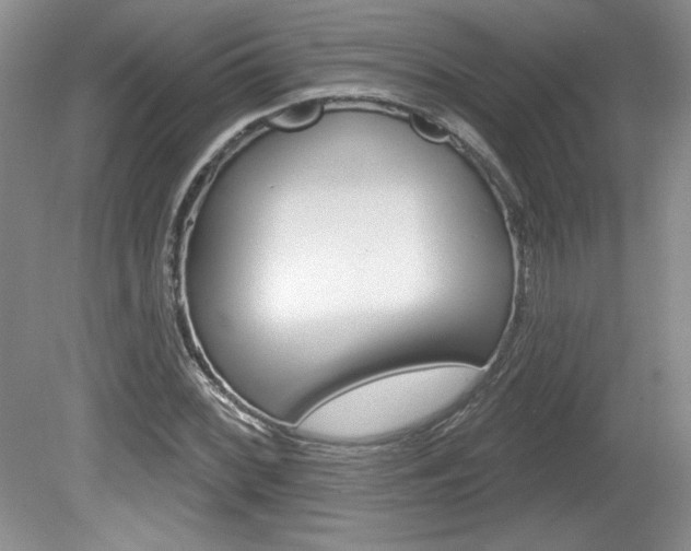 X0000080101068200612080923