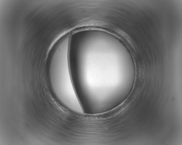 X0000080101069200612080923