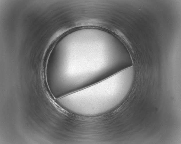 X0000080101072200612080923