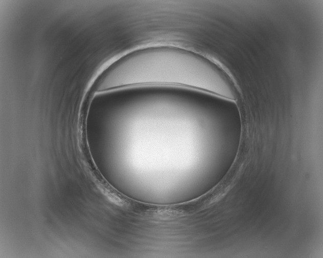 X0000080101077200612080923