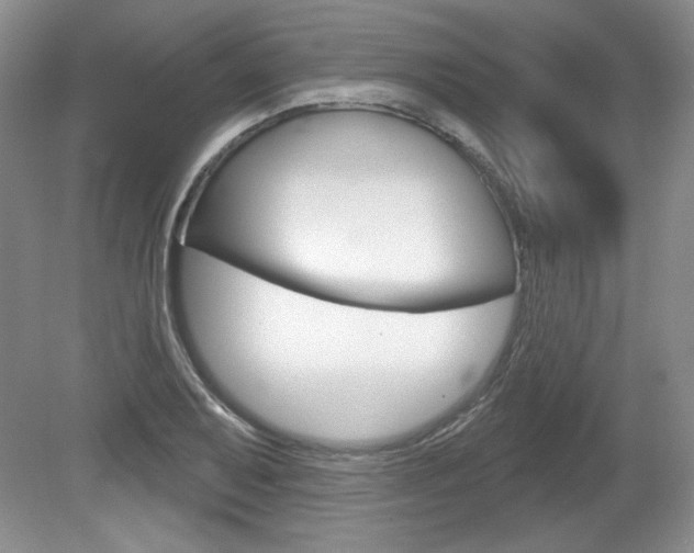 X0000080101079200612080923