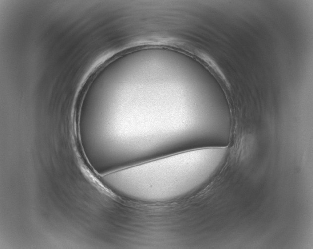 X0000080101080200612080923