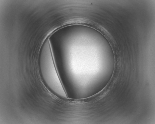 X0000080101081200612080923
