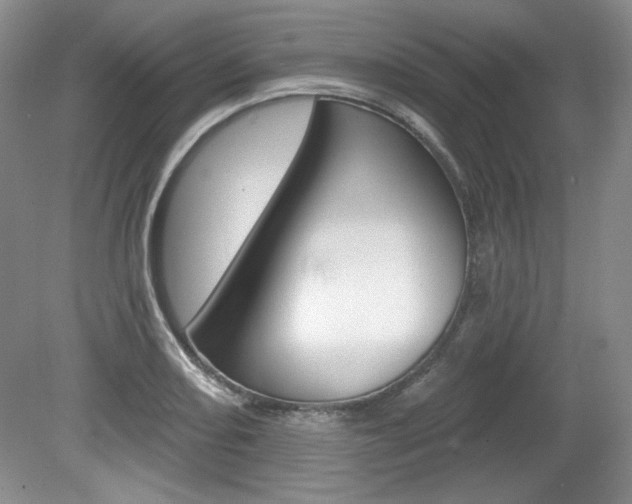 X0000080101082200612080923