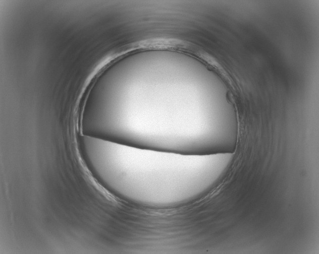 X0000080101083200612080923