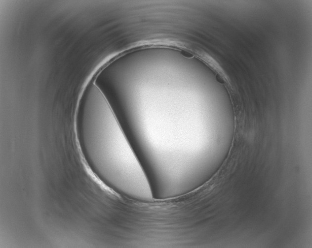 X0000080101084200612080923