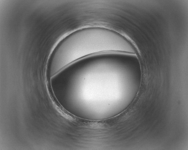 X0000080101085200612080923
